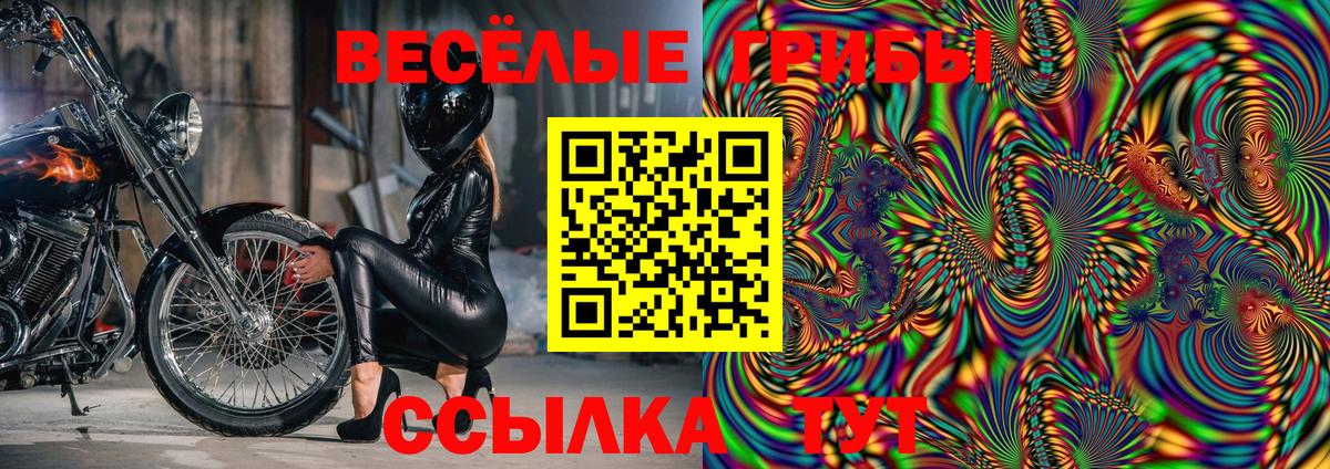 дарнет шоп  Вход с VPN  Псилоцибиновые грибы Magic Shrooms  Выкса  Псилоцибиновые грибы мицелий 