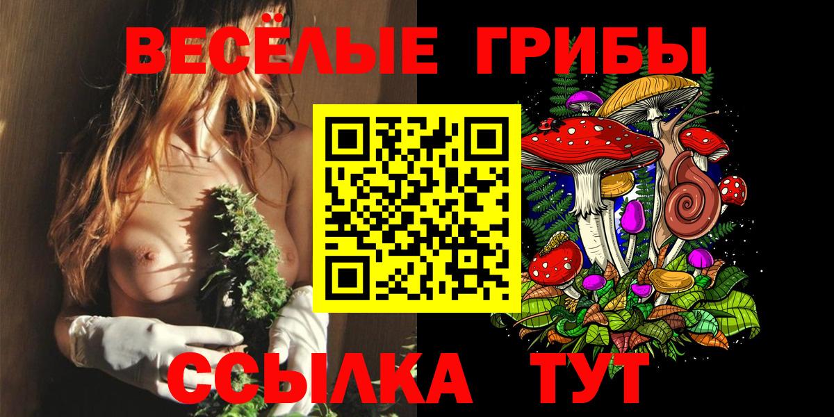 Галлюциногенные грибы Magic Shrooms Выкса